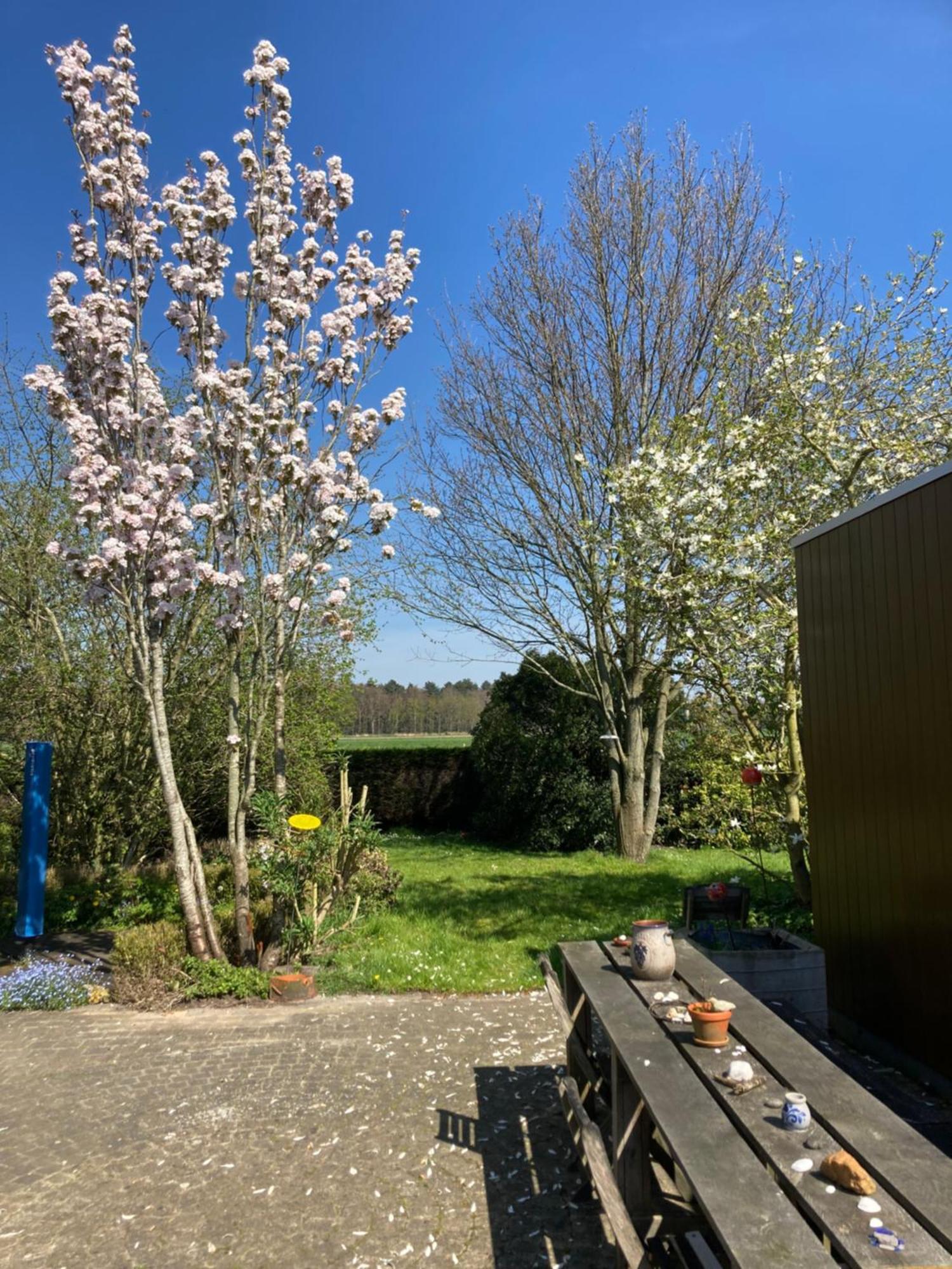 B&B Koornemoezen Zedelgem Exterior foto